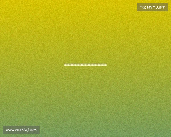 陈家沟代表队在国际太极推手比赛中技压群雄斩获多项荣誉独占鳌头